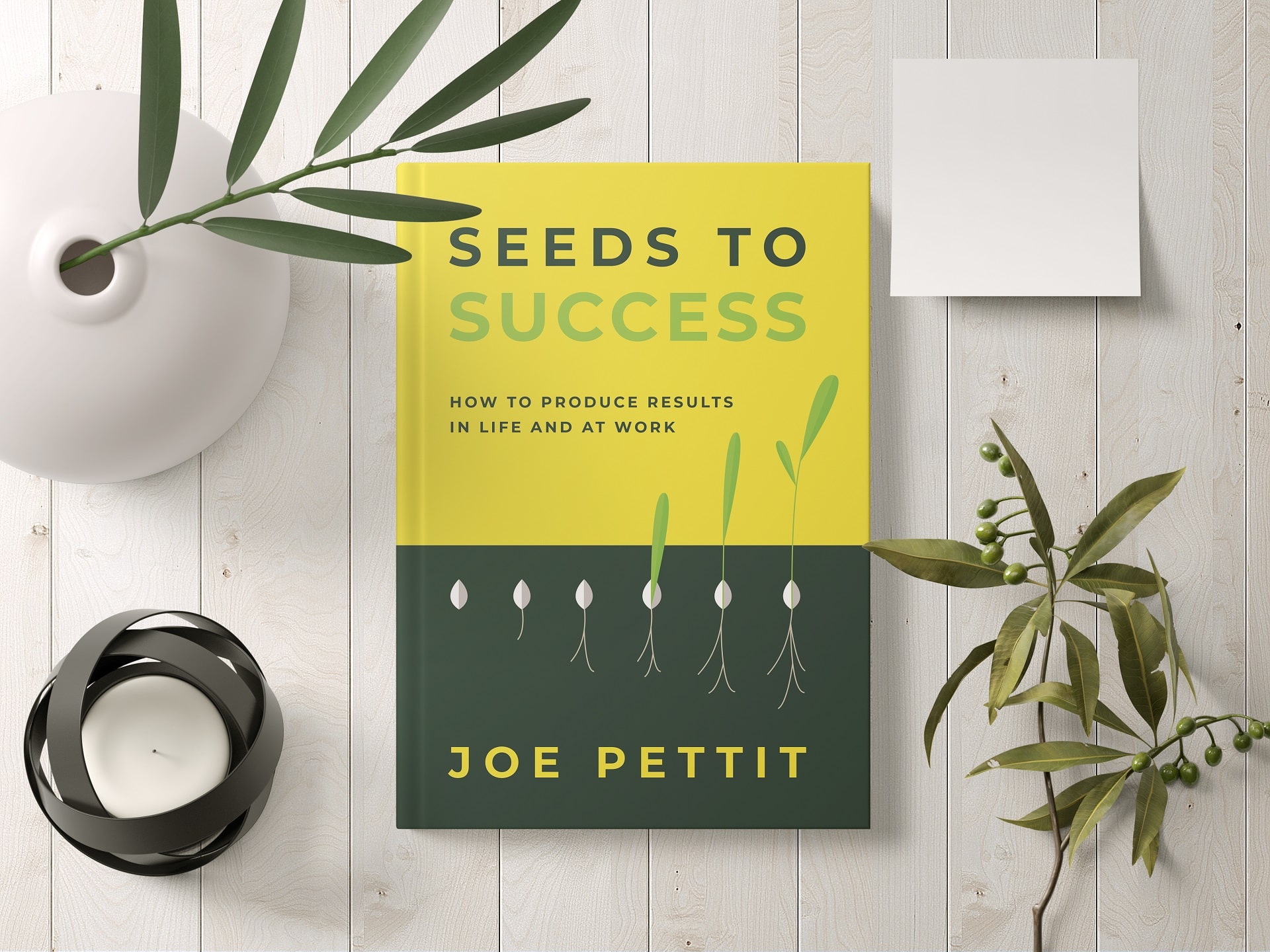 Seeds To Success | Joe Pettits