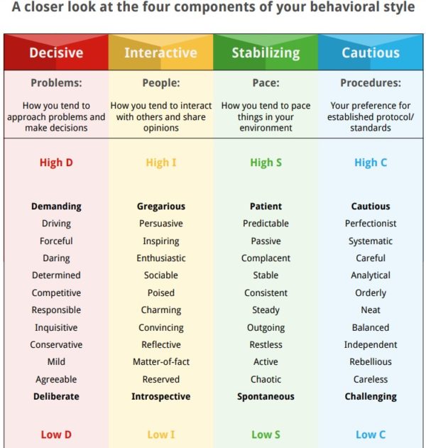 Disc Assessment | Joe Pettits